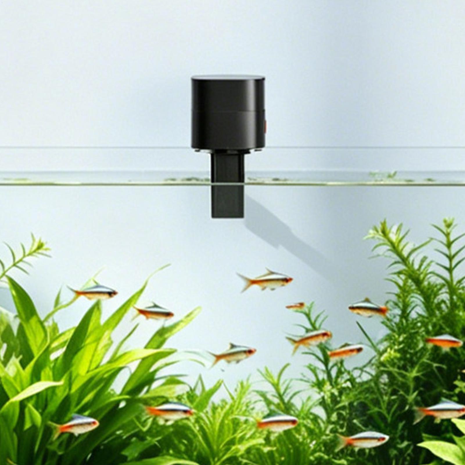 Automatic Fish Feeder Automati - đánh giá và giá Fishing Line Dispenser